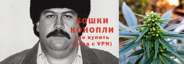 jwh Шадринск