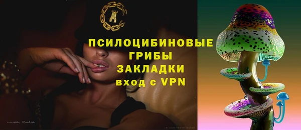 PSILOCYBIN Шали