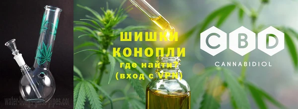 дживик Щигры