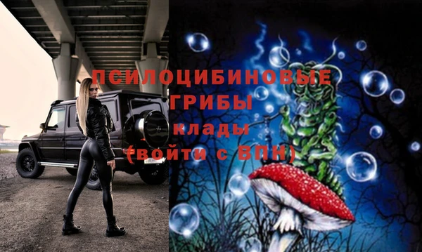 jwh Шадринск