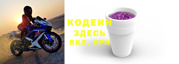 дживик Щигры