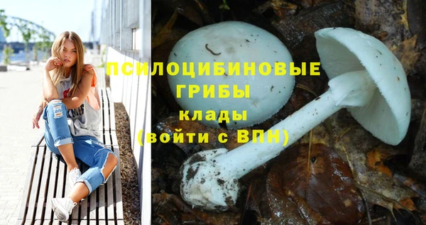 меф Шарыпово