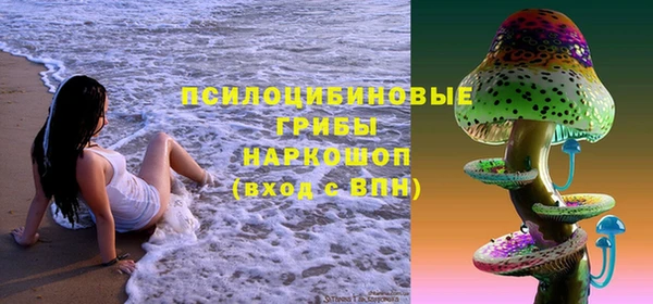 jwh Шадринск