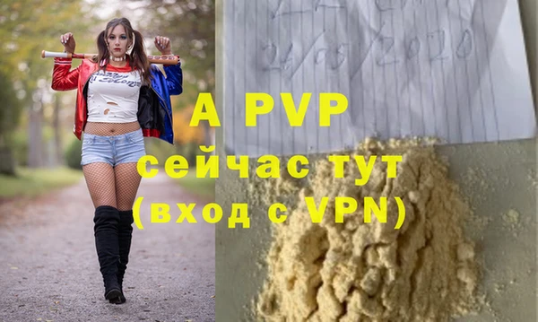 PSILOCYBIN Шали