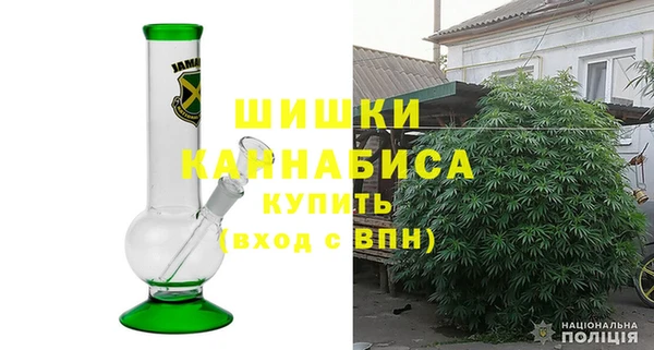 дживик Щигры