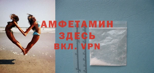 дживик Щигры