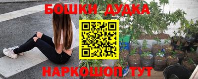 МДПВ Заволжье