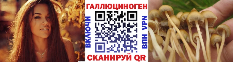 Псилоцибиновые грибы мицелий  Псков 