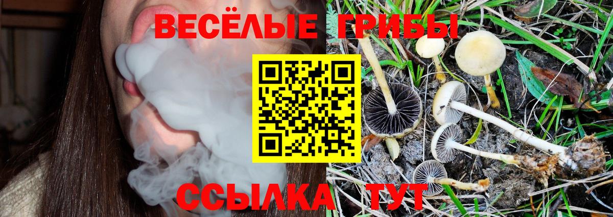 Псилоцибиновые грибы ЛСД Псков