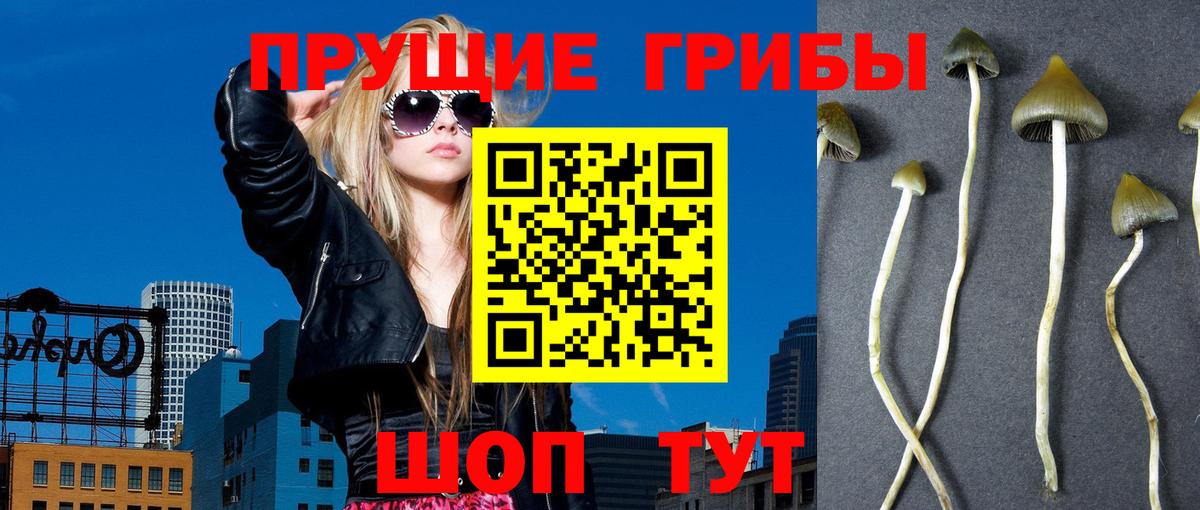 Псилоцибиновые грибы MAGIC MUSHROOMS  Галлюциногенные грибы мицелий  Вход с VPN  сколько стоит  Псков 